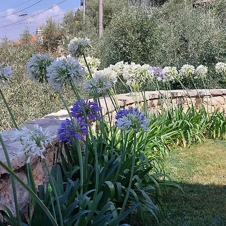 Miralunga La Villa