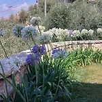 Miralunga La فيلة